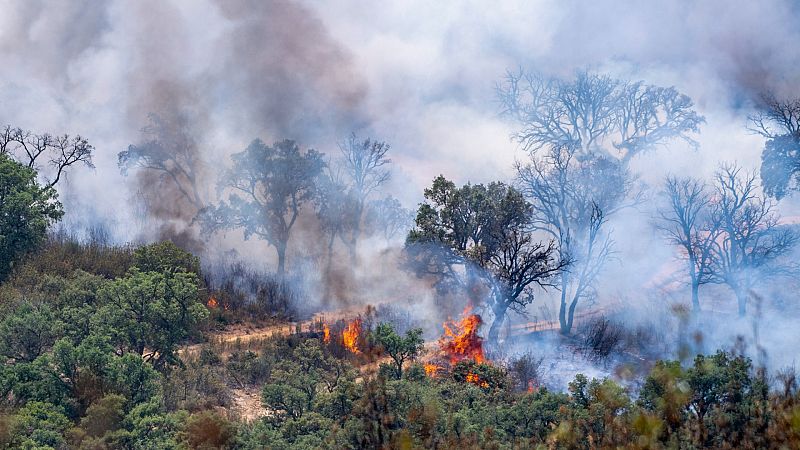 Las Mañanas de RNE con Íñigo Alfonso -  Controlado el incendio declarado en Sierra de Gata: "Los vecinos están volviendo a sus casas y es lo mejor de todo" - Escuchar ahora
