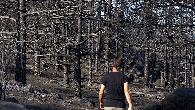 14 horas fin de semana - 365 días después del incendio de Navalacruz: "¿y qué hago este año?" - Escuchar ahora