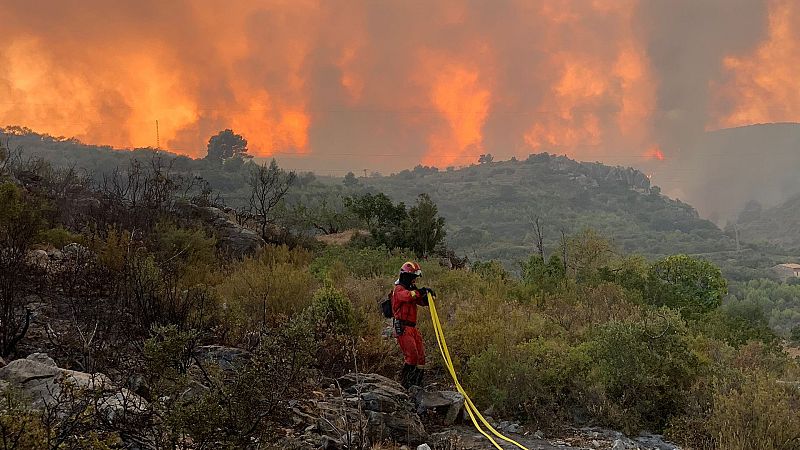 14 Horas - ¿Por qué se producen tantos incendios virulentos? - Escuchar ahora