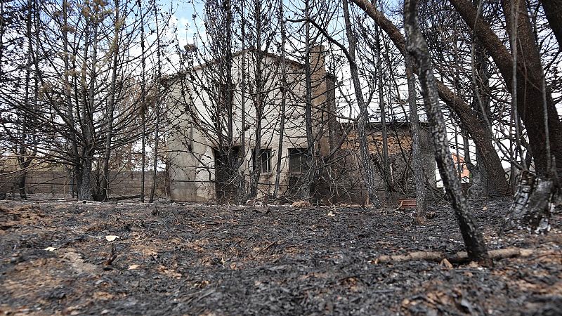 Las mañanas de RNE con Íñigo Alfonso - Zamora reclama más ayudas tras los incendios que asolaron la región: "Nos están abandonando" - Escuchar ahora