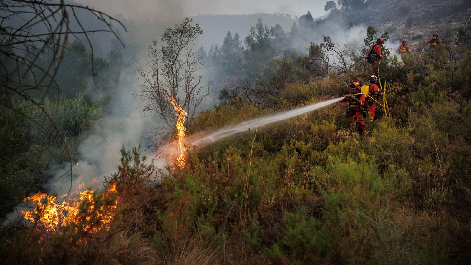 Las Mañanas de RNE con Íñigo Alfonso - PASBF: "Los incendios están generando su propia climatología, tienen comportamientos erráticos y son difíciles de trabajar" - Escuchar ahora