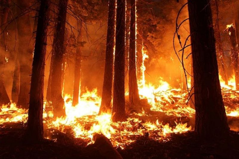 Los incendios y el cambio climático - 19/08/22 - Escuchar ahora