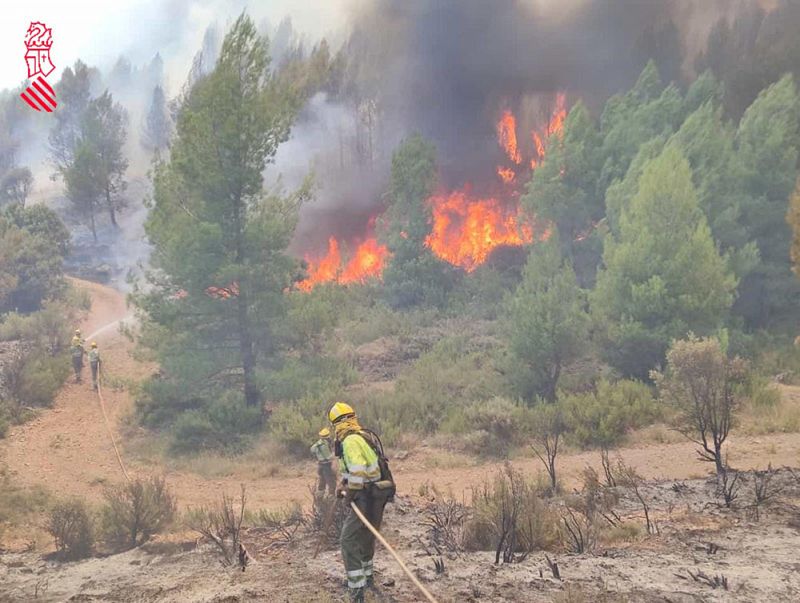 Historias de un incendio, el día después - 22/08/22 - Escuchar ahora