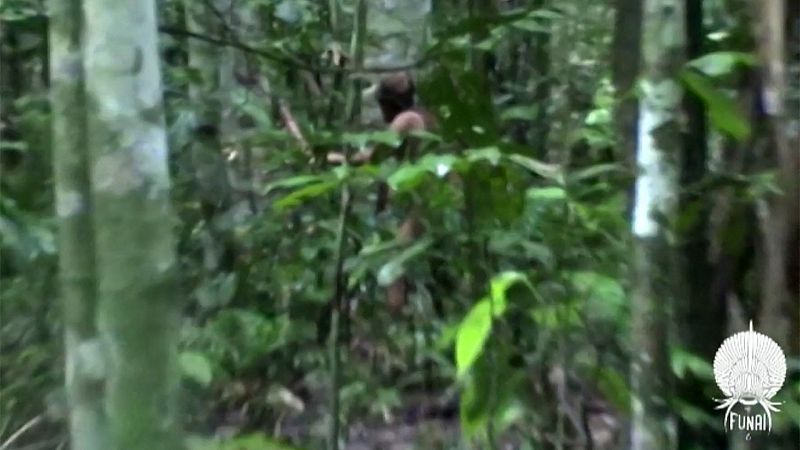 Cinco Continentes - La situación crítica de los indígenas en Brasil - Escuchar ahora