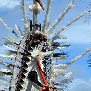 El gallo que no cesa