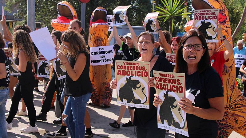 Demanen l'abolició dels correbous a Vidreres