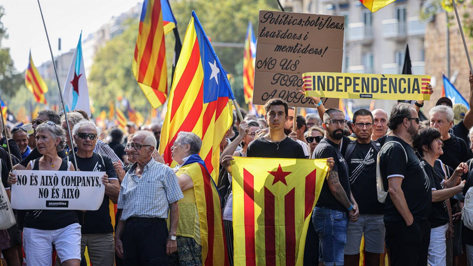 Desenes de milers de persones a la manifestació de la Diada | CLARA ONTAÑÓN