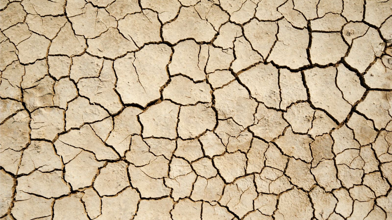 ¿Con qué te quedas? - El primo, los no diputados e Isabel la Católica - 13/09/22 - Escuchar ahora 