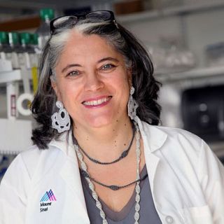 La vir�loga espa�ola que estudia la COVID-19 en Nueva York