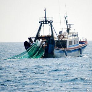  - Españoles en la mar - España recurrirá el cierre de 87 zonas de pesca - 21/09/22 - escuchar ahora