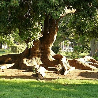 Noches en los jardines