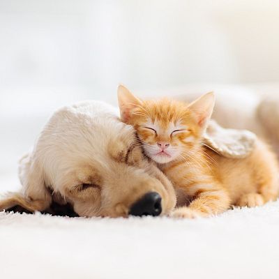 Capriccio - Elogio de la amistad - 05/10/22 - escuchar ahora