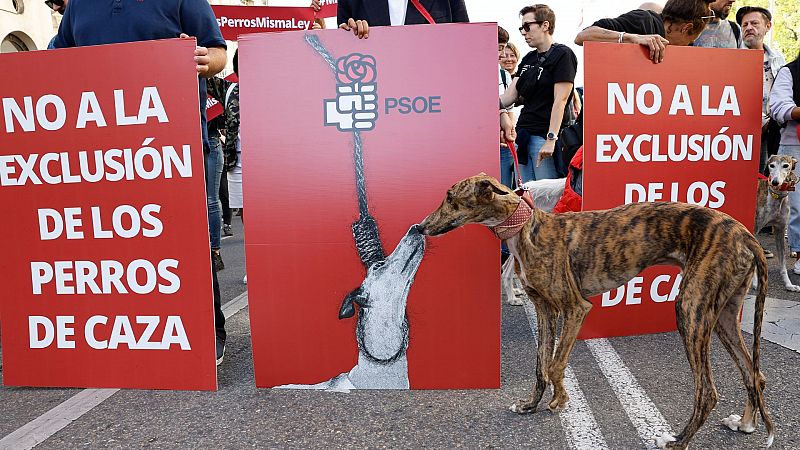 Parlamento RNE - "Habrá acuerdo si el PSOE retira la enmienda para que queden excluidos los perros de caza" - Escuchar ahora