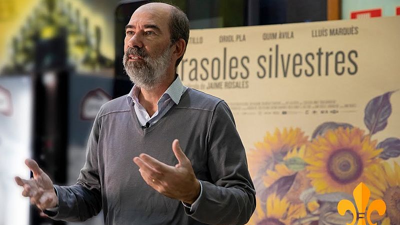 Las cuñas de RNE - Girasoles silvestres en Halloween - Escuchar ahora