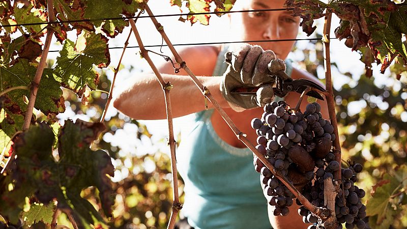 Más cerca - Visibilidad y financiación para las mujeres rurales - Escuchar ahora 