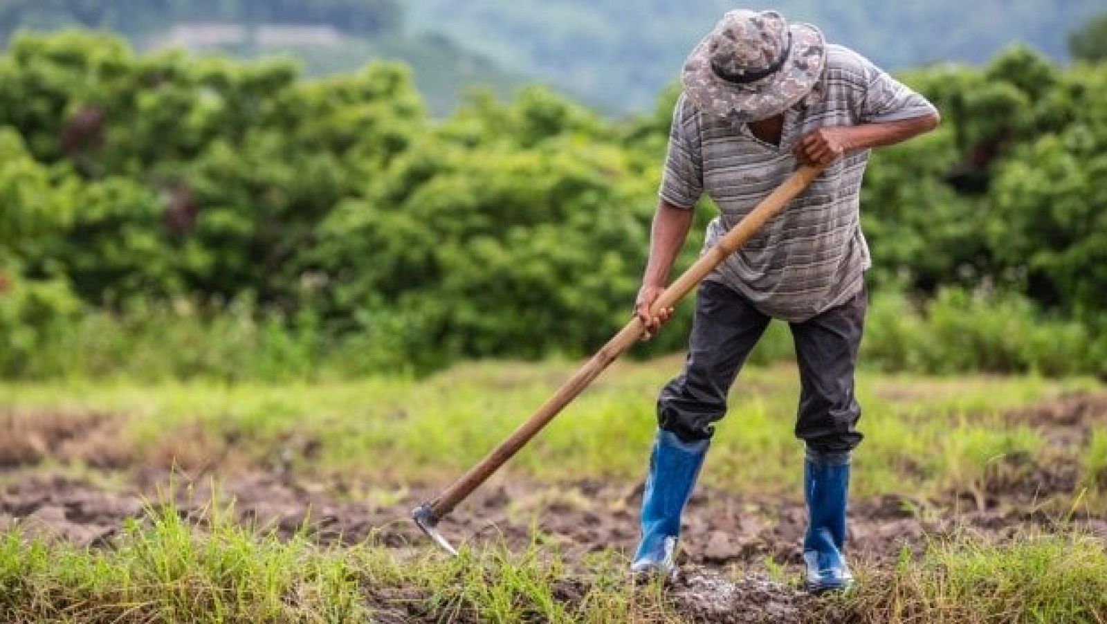 L'augment dels costos amenaça les cooperatives