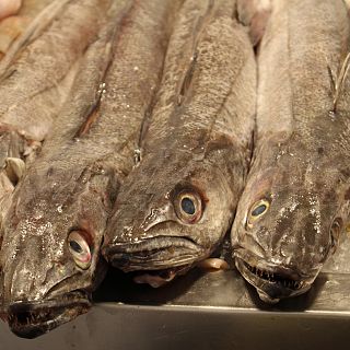 Españoles en la mar