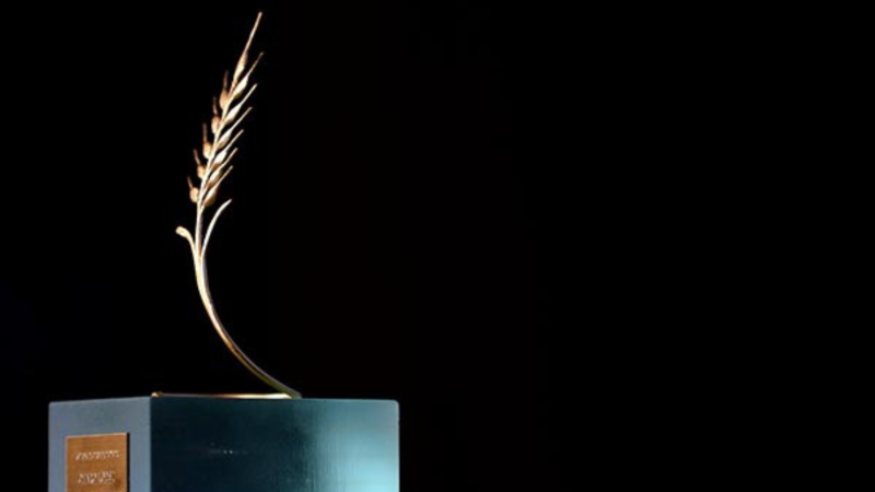 El ojo crítico - Recta final de la Seminci - Escuchar ahora