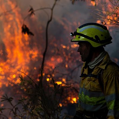Reportajes RNE- Incendios forestales: ¿Cómo recuperar lo perdido? - Escuchar ahora