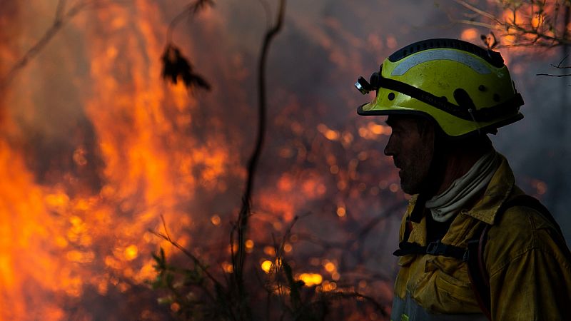 Reportajes RNE- Incendios forestales: ¿Cómo recuperar lo perdido? - Escuchar ahora