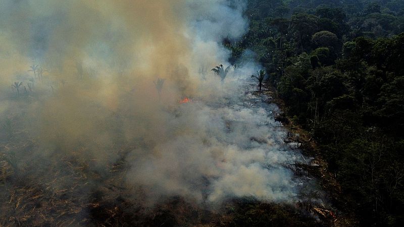 Reportajes 5 continentes - Reporter Brasil y la lucha contra la destrucción de la Amazonía - Escuchar ahora