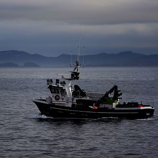 Españoles en la mar