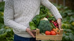 Mamás y papás - Alimentación ecológica - 06/11/22