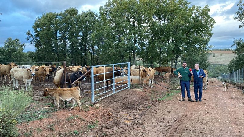 España rural - 06/11/22