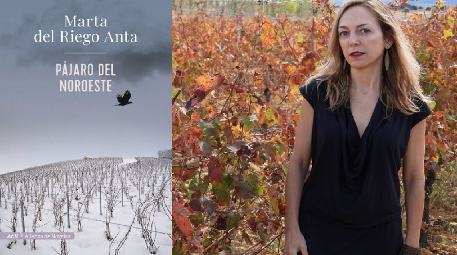 Sin Género de Duda - 'Pájaro del noroeste' - 27 noviembre 2022