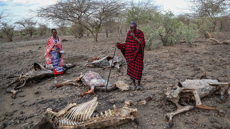Reportajes 5 continentes - Justicia climática para África - Escuchar ahora