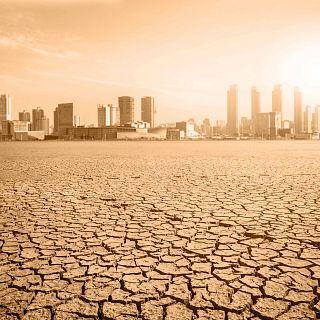 La cuadratura del círculo