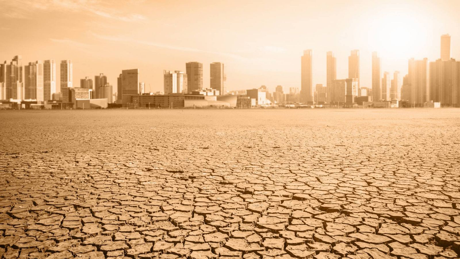 La cuadratura del círculo - Un futuro tecnológico, humanista ¿y desértico? -  19/01/23 - Escuchar ahora