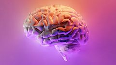 Radiogramas - El cerebro - 28/11/22
