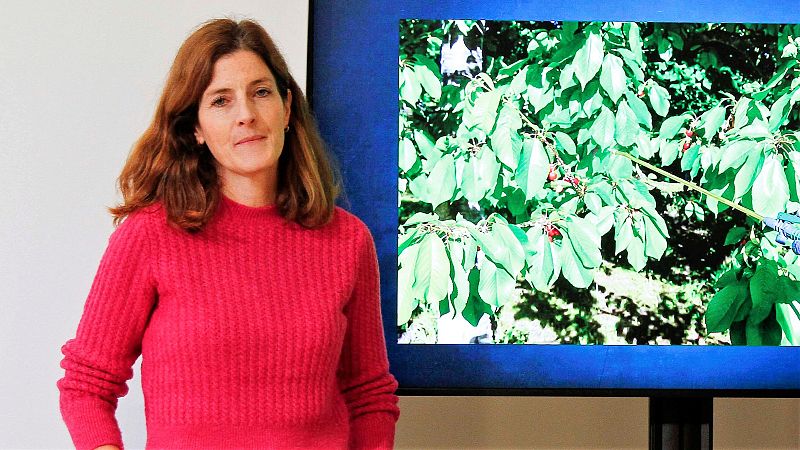 Asocian exposición infantil a pesticidas con adelanto de la pubertad - Escuchar ahora