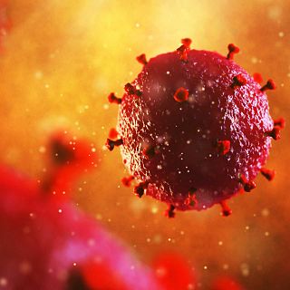VIH, un virus que ya no es letal gracias a la ciencia