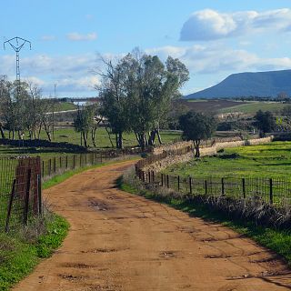 Caminantes