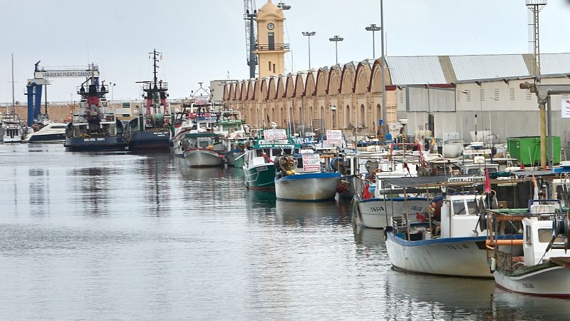24 horas - Manuel Albiol (Coincopesca): "El Mediterráneo ha sido la moneda de cambio del Atlántico" - Escuchar ahora