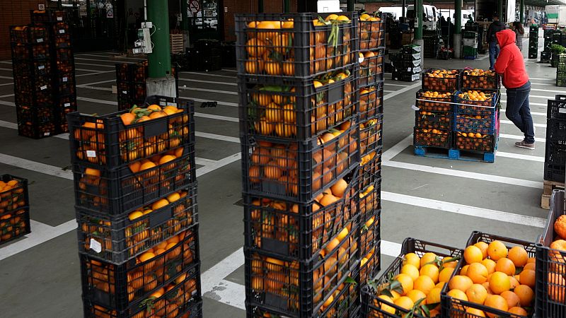 Las Mañanas de RNE - Andrés Góngora, COAG: "No puede ser que el tope a los precios termine afectando a los productores" - Escuchar ahora