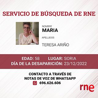 Servicio de búsqueda