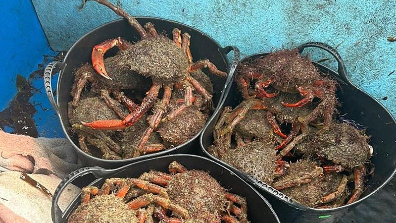 Las Mañanas de RNE - Los mariscadores gallegos ven duplicados sus gastos diarios - Escuchar ahora