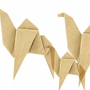 Contando cuentos en Radio 5 - Contando cuentos en Radio 5 - Acartonadas fiestas - 05/01/23 - Escuchar ahora