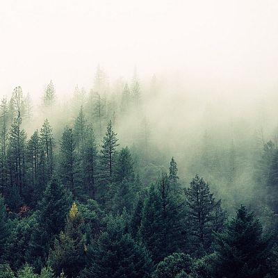 Ecos y consonancias - Noche mágica - 05/12/22 - escuchar ahora