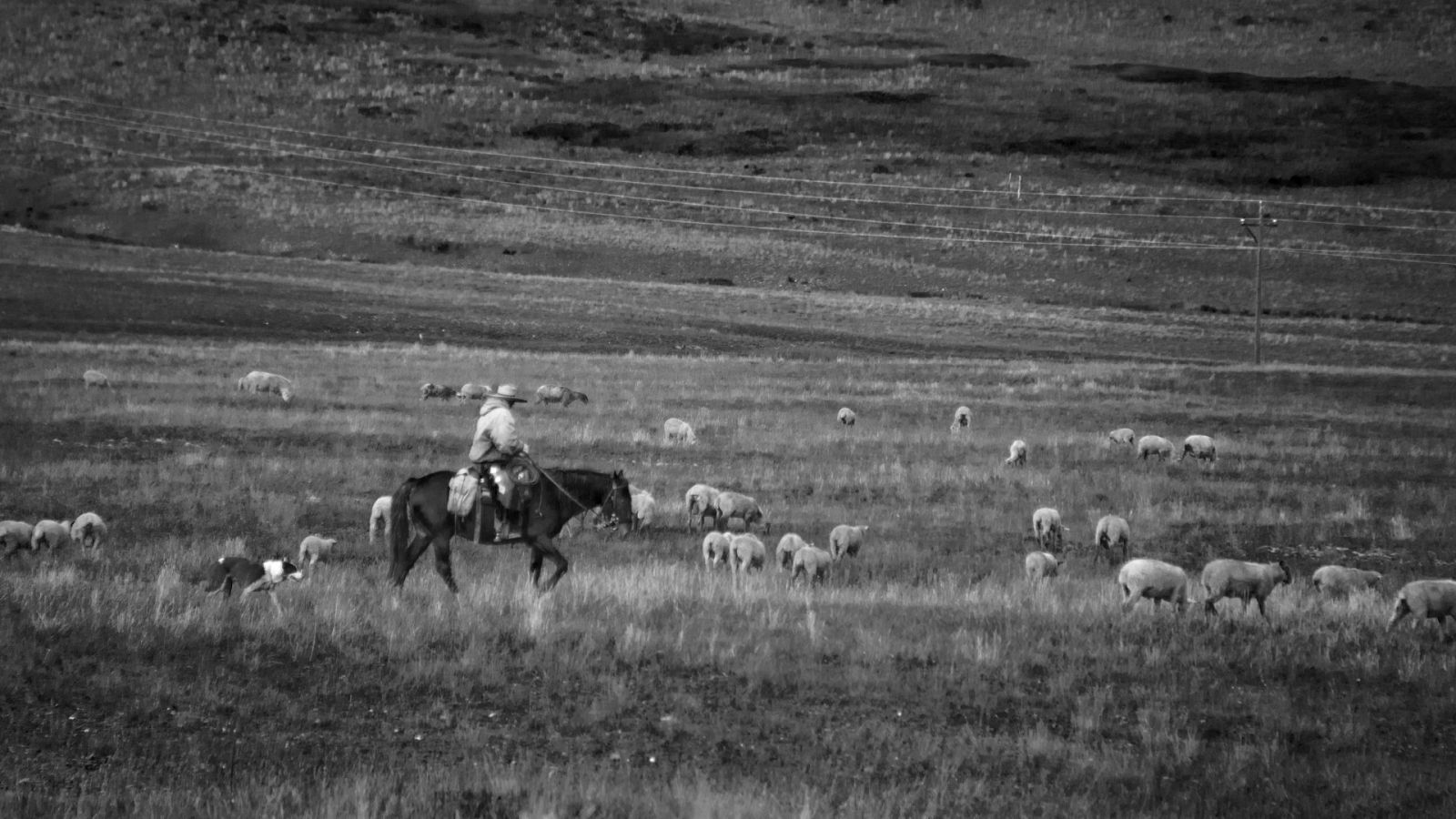 Los Pastores Vascos en el cine y la cultura popular estadounidense - Escuchar ahora