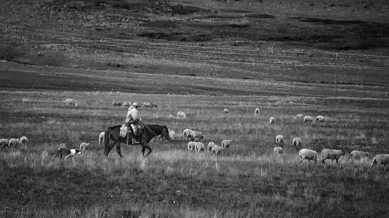 Los Pastores Vascos en el cine y la cultura popular estadounidense - Escuchar ahora