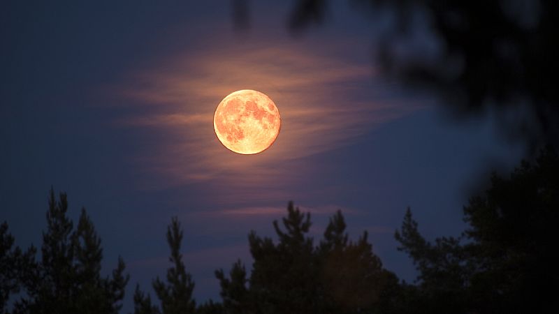 Diálogo con las musas - La luna que nos inspira - Escuchar ahora