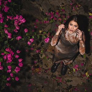 Benidorm Fest. La cuenta atrás - Benidorm Fest. La cuenta atrás - Fusa Nocta: Mi familia - Escuchar ahora