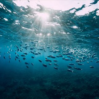 La aventura del conocimiento