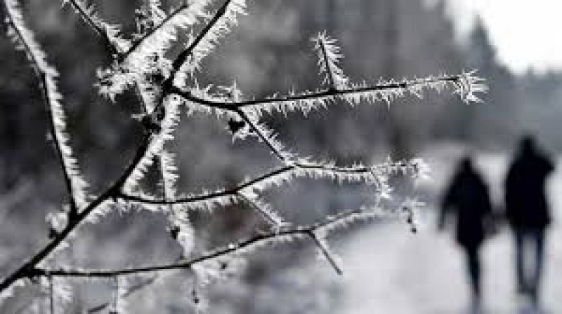 Vall de Ebo: del fuego a la nieve 25/01/23 - escuchar ahora