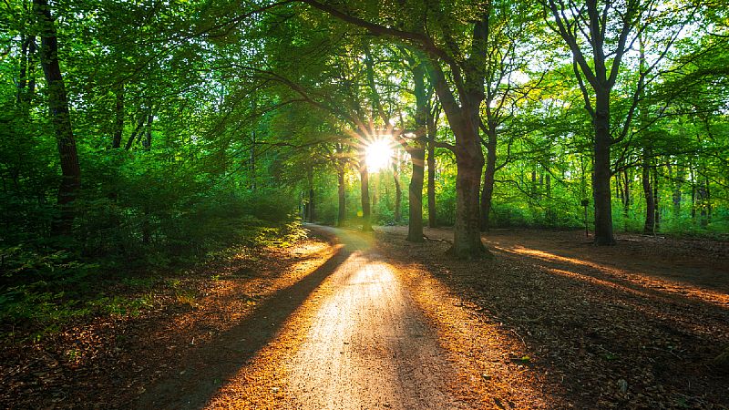 Diálogo con las musas - La mañana - Escuchar ahora