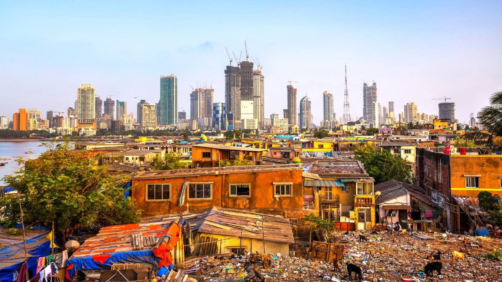 Sapiens - Desigualdad.Con Carles Lalueza-Fox - 28/01/23 - escuchar ahora